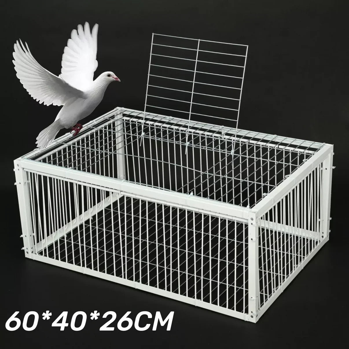Cage à Oiseaux t